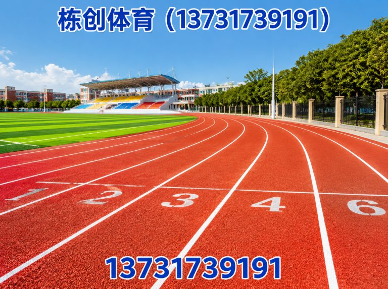 南皮县人造草坪展示图